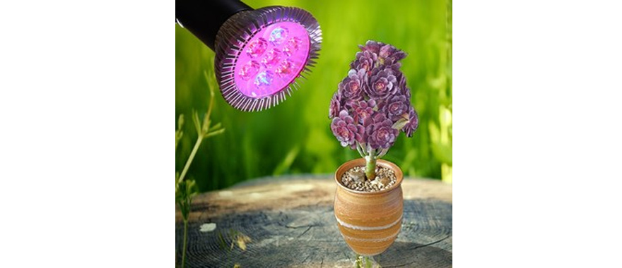 LED植物生长灯吸潮短路、起霉怎么办？快用线路板电防胶.jpg